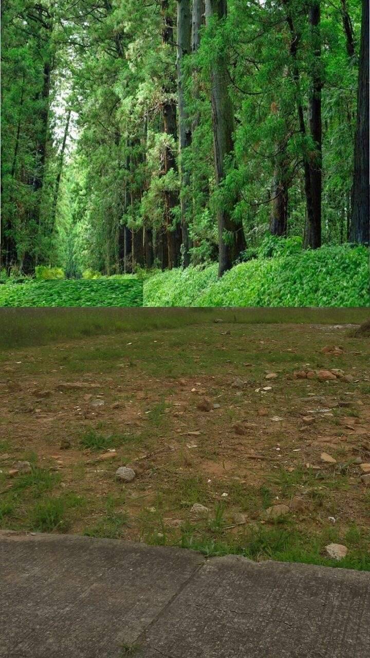 #6084 - Terreno para Venda em São Bernardo do Campo - SP