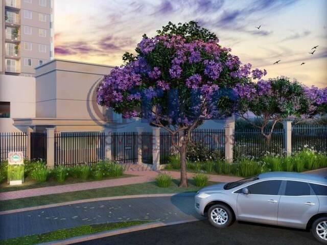 Apartamento para Venda em Campinas - 4