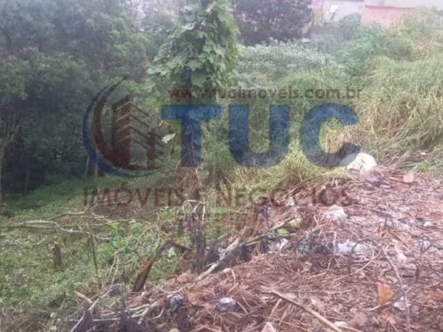 Terreno para Venda em São Bernardo do Campo - 5