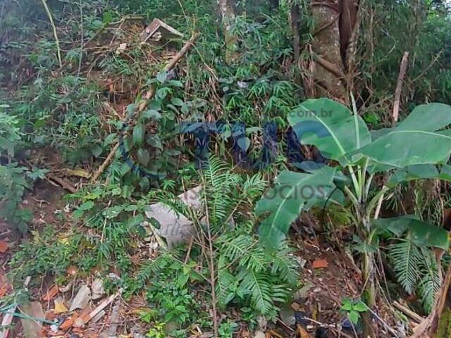 Terreno para Venda em São Bernardo do Campo - 5