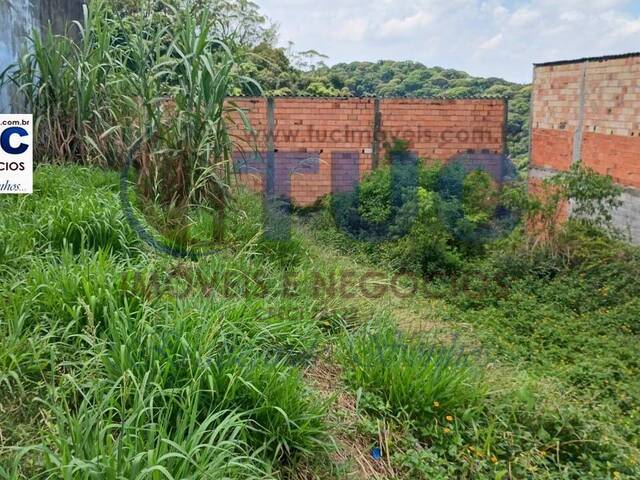 #9284 - Terreno para Venda em São Bernardo do Campo - SP - 3