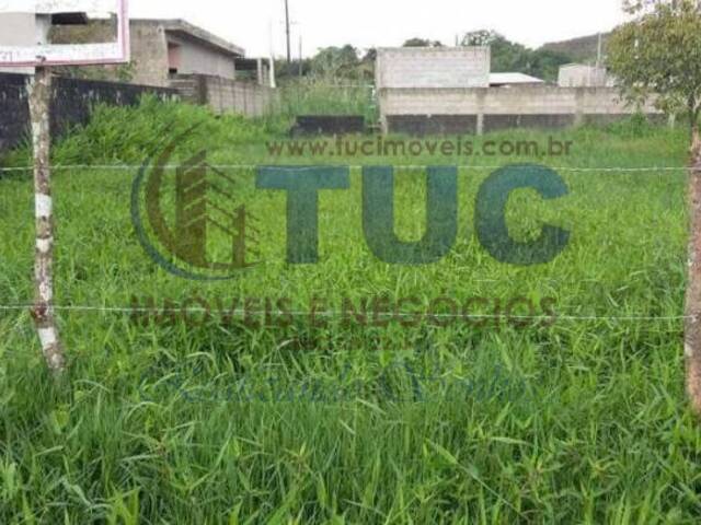 Terreno para Venda em Peruíbe - 4