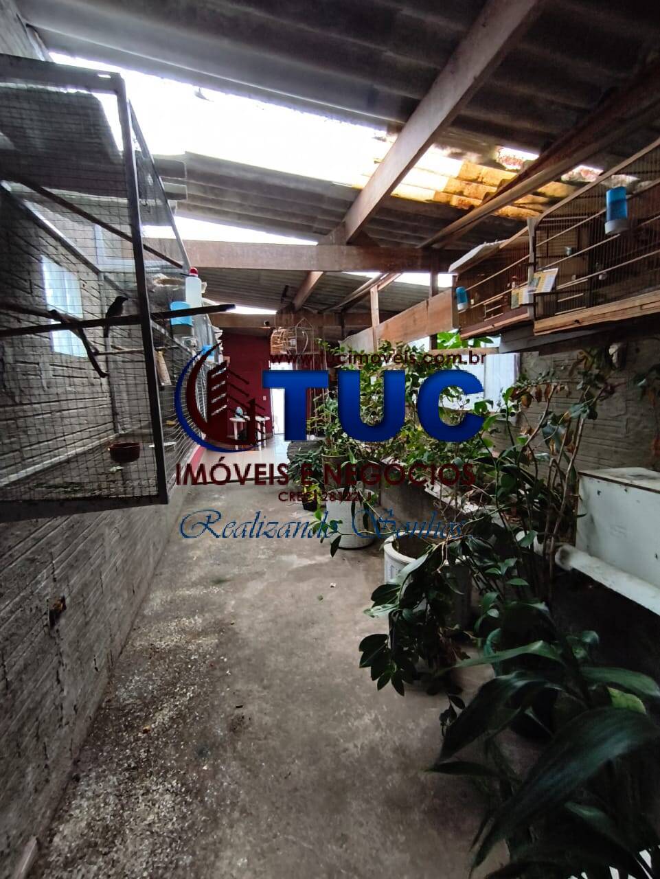 Casa, 4 quartos, 288 m² - Foto 18